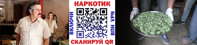 Что такое Томари KRAKEN как зайти Канабис ТГК