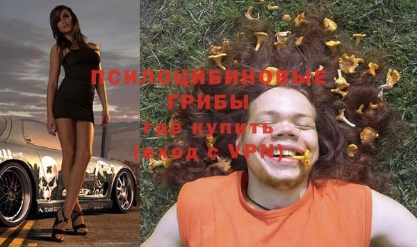 гидропоника Алексеевка