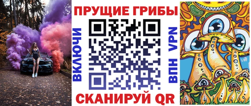 Псилоцибиновые грибы GOLDEN TEACHER  что такое наркотик  сайты даркнета клад  Томари  МЕГА зеркало 